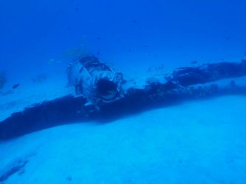 Atlantis Submarine Waikiki Plane Wreck Hawaii