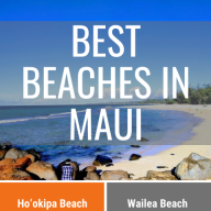 Best Beaches in Maui Infographic