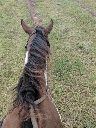 Kualoa Ranch Horseback Riding Review