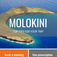 Molokini Crater Snorkeling Tips Infographic