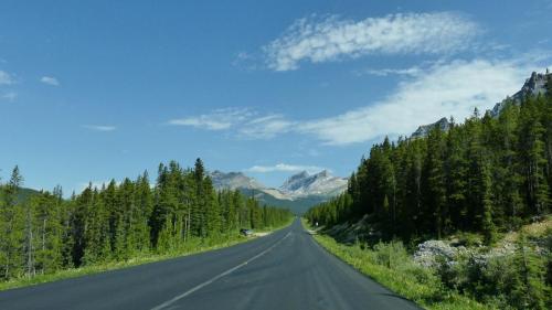 Things to do in Banff in Summer