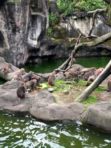 Things to do in Taipei - Taipei Zoo