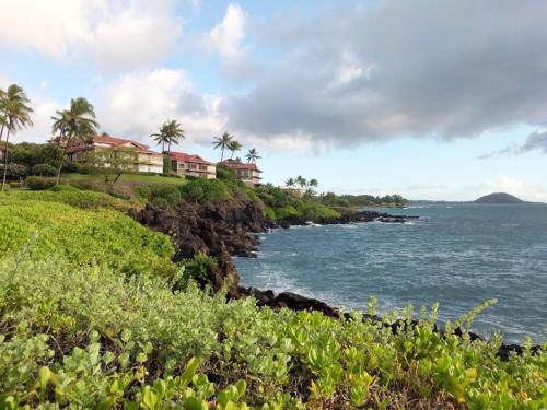 Best Beaches in Maui - Wailea Beach